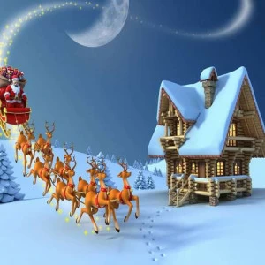 WP00318 Фотообои Verol Фотообои decoline 1х1 м