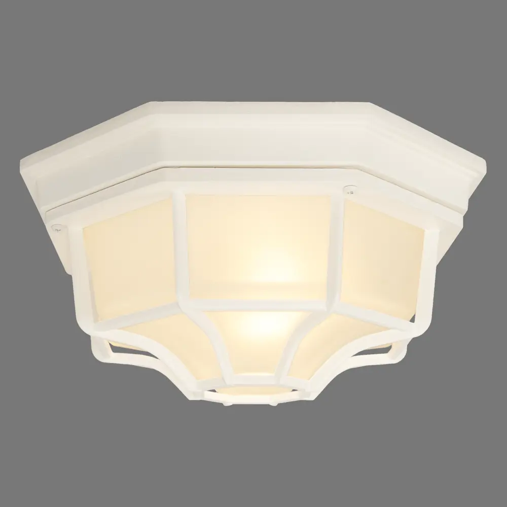 Светильник уличный потолочный Pegas 100 Вт IP65 цвет белый 82304621 STLM-2119426 Santreyd  - Вид №1