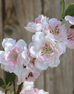 3062 705 a3 Искусственная ветка сакуры, 110 см, бело-розовая H-andreas