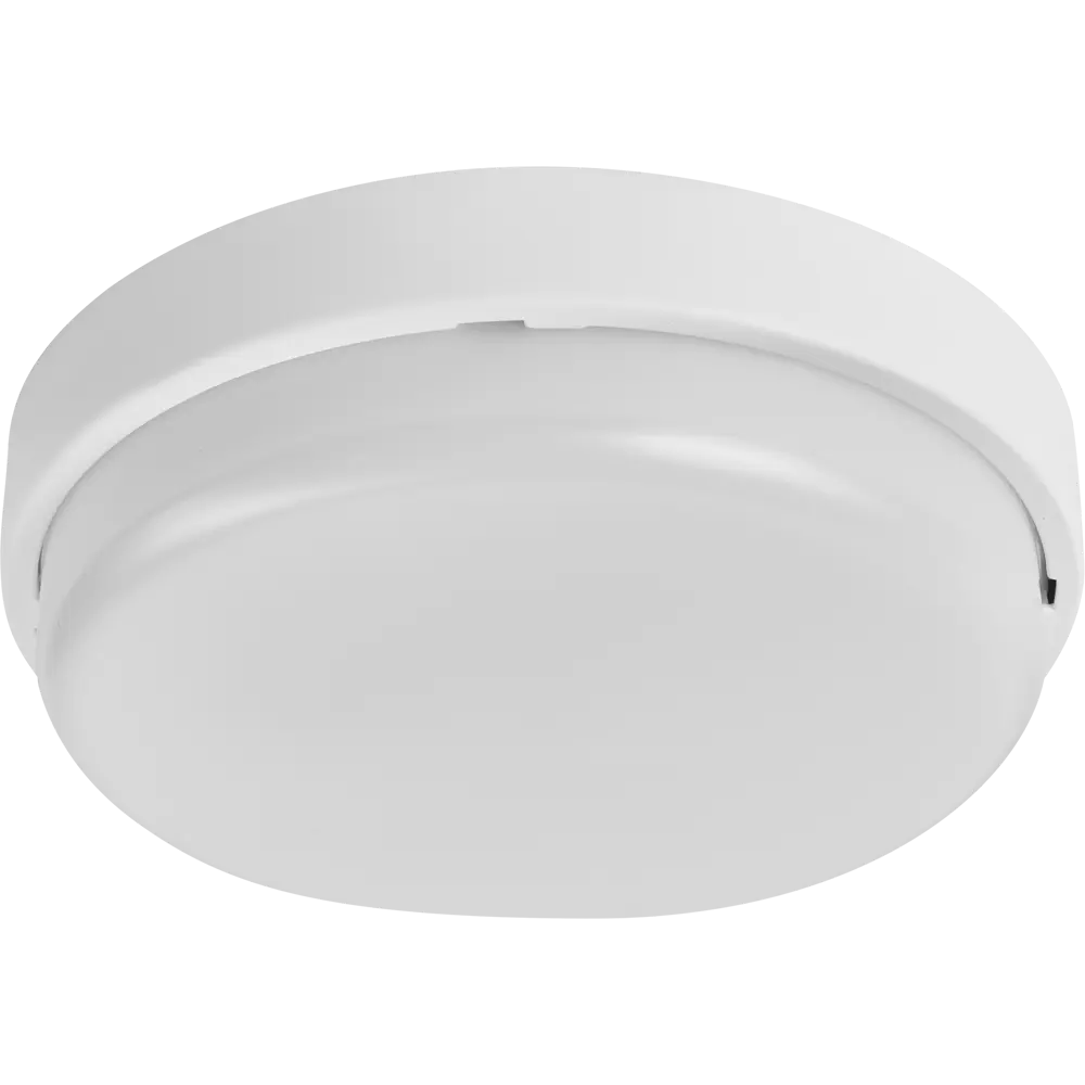 Светильник утилитарный настенно-потолочный Онлайт OBL-R2 12W IP65 нейтральный белый свет 87897208 STLM-2081828 