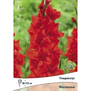 Гладиолус крупноцветковый Масканьи, 3 шт 89452310 STLM-2193570