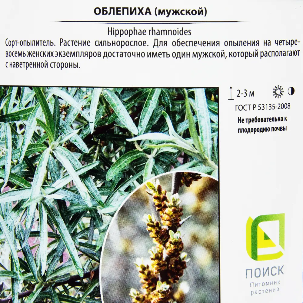 Santreyd Облепиха Алей - надежный опылитель для сада 82219578 STLM-0958767 - Вид №1