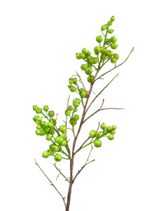 30.0312020GR Ветка с крупными зелёными ягодами Цветочная коллекция