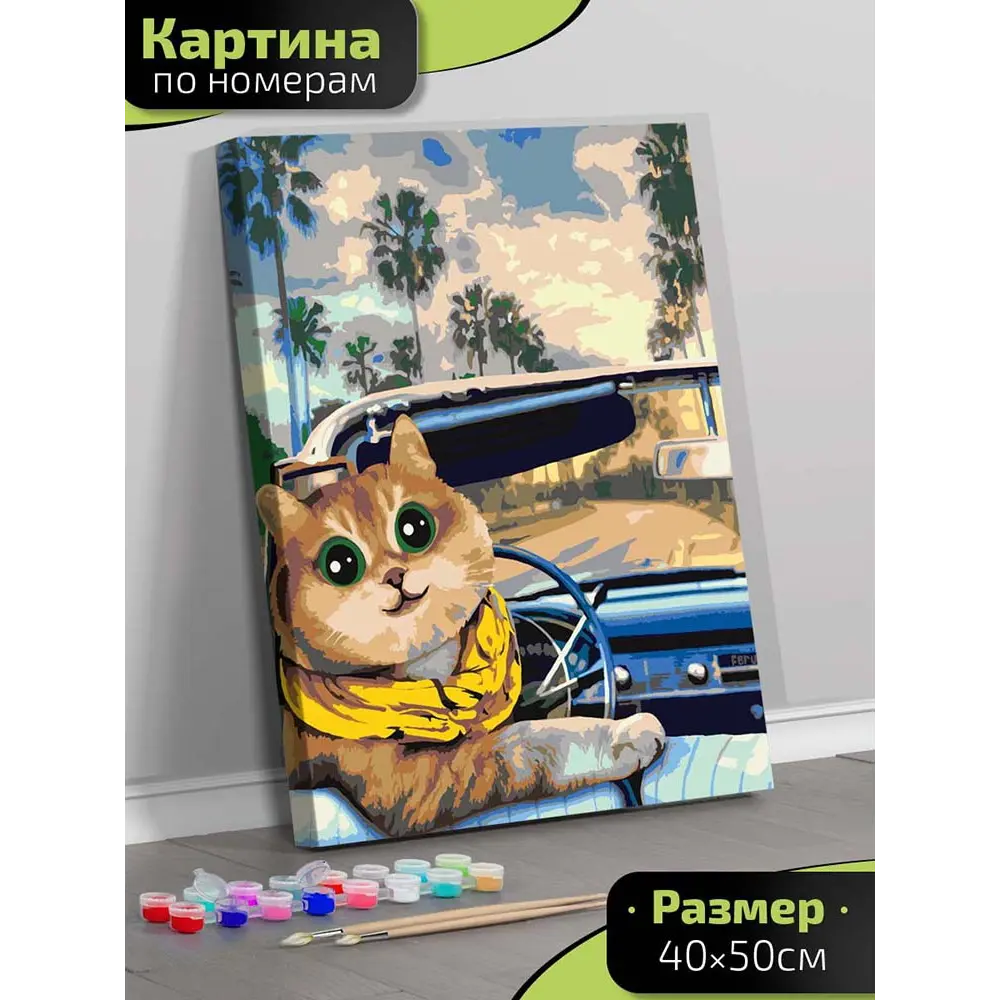 Картина по номерам Fbrush Кошка за рулем 40x50 см STLM-2068281