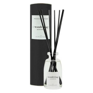 Диффузор ароматический The Olphactory Wandering Black "Ягоды годжи" 100 мл AMBIENTAIR  00-3895036 Черный