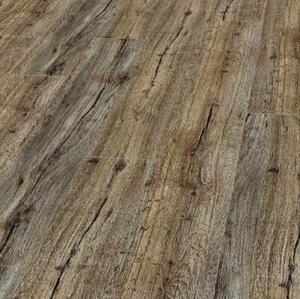 Ламинат Maestro Club Дуб Легенда SU 06