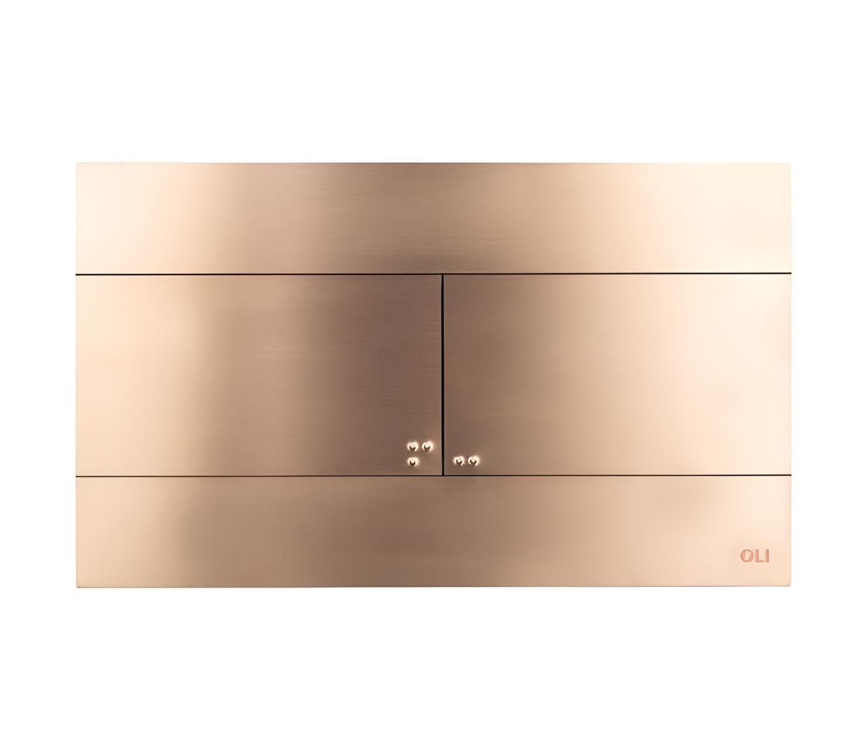 Панель управления туалетом из нержавеющей стали OLI SLIM INOX ARCH-00058910 - Вид №4