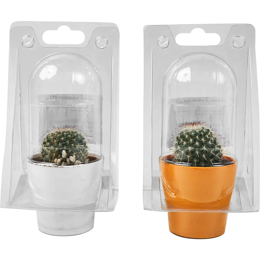 Santreyd: Декоративный кактус для современного интерьера 89296621 STLM-0823759 - Вид №9