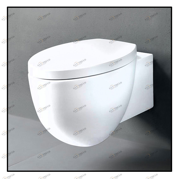 LGVS Подвесной унитаз настенный Белый Ceramica Cielo Le Giare Италия