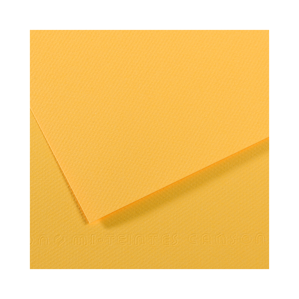 200321117 Бумага для пастели Mi-Teintes 160 г/м2 75 х 110 см лист №400 канареечный Canson 