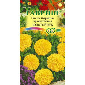 Бархатцы Золотой век от ГАВРИШ - компактные золотистые цветы для сада 83606915