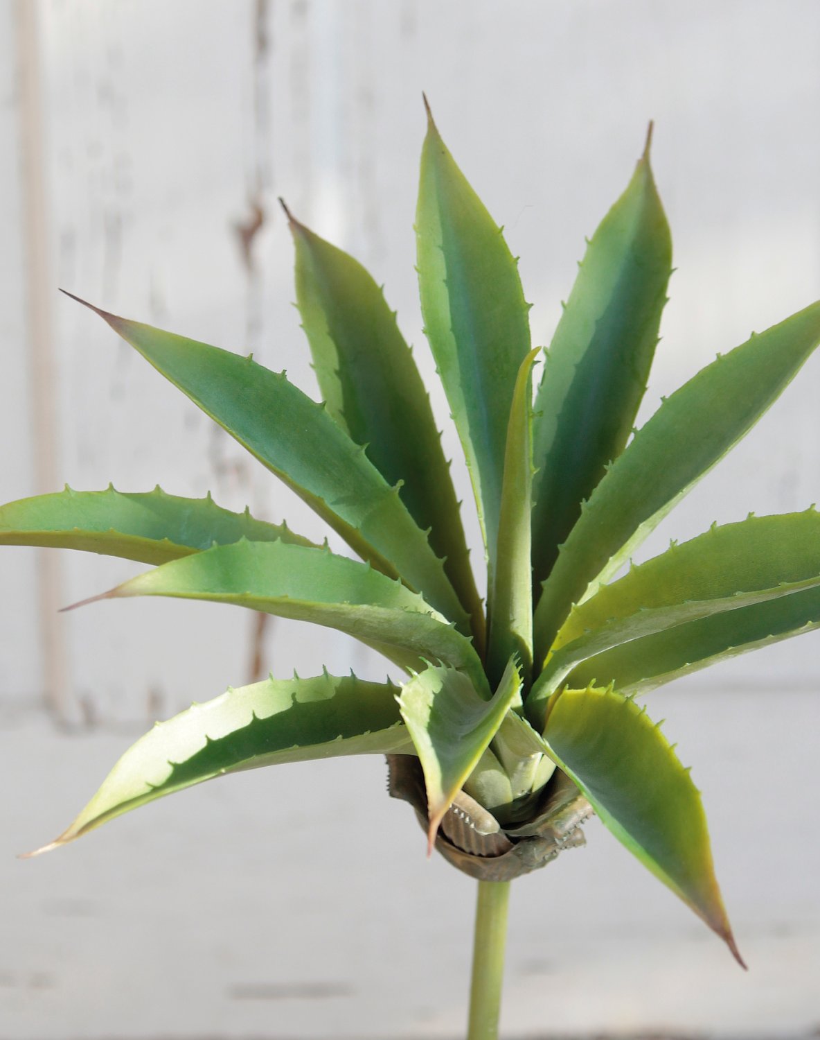 6495 883 a3 Искусственная агава на палочке, 24 см, Ø 26 см, зеленая H-andreas  - Вид №3