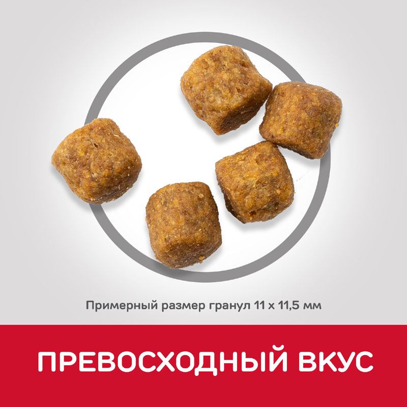 ПР0051161 Корм для собак HILL"S Science Plan ягненок, рис сух. 2,5кг Hill's  - Вид №4