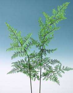 6627 883 a2 Спрей шелк папоротник, синтетический материал, 150 см, зеленый H-andreas