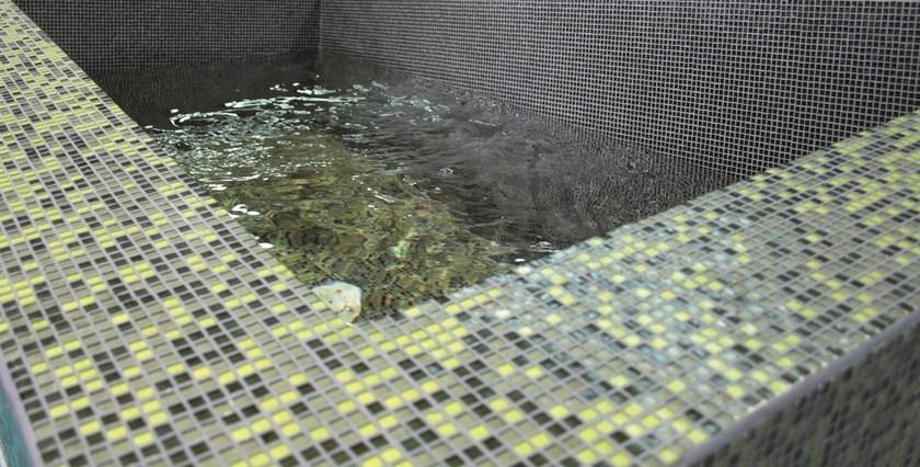 RE.PACK Джакузи в формате eps sun-id-1387759 - Вид №2