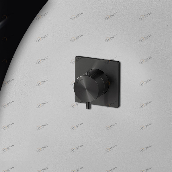 Термостат для душа карбон AICO Radomonte TER90C