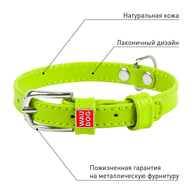 ПР0053774 Ошейник для собак Waudog Glamour без украшений (ширина 15мм, длина 27-36см) зелёный COLLAR  - Вид №3
