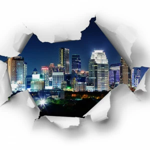 D2-054 Фотообои DIVINO Collection D 2.7х3 м