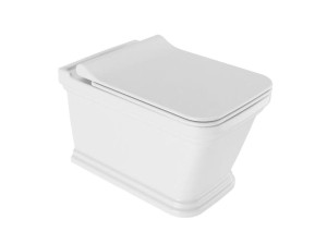 Туалет для биде без бриды