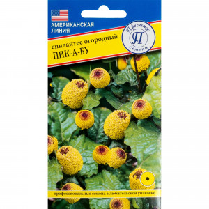 82107746 Сиплантес «Пик-А-Бу»