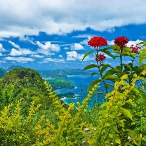 WP02427 Фотообои Verol Фотообои decoline 1х1 м