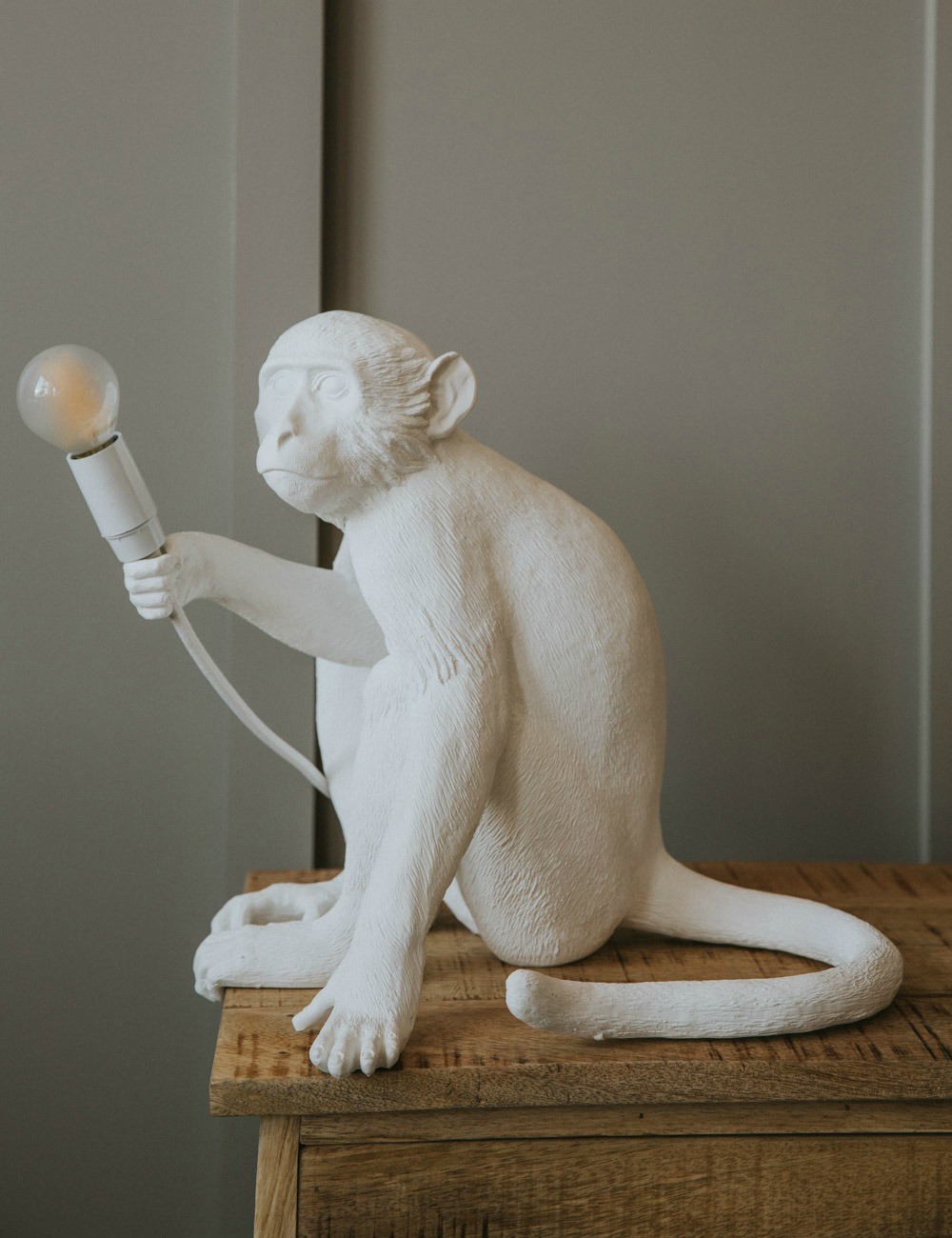 SELETTI Настольная лампа 14882 sitting MONKEY ЖИВОТНЫЕ  Белый - Вид №11