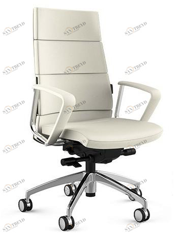 Ares Line Кожаное кресло руководителя с подлокотниками Trendy family sun-id-1419977