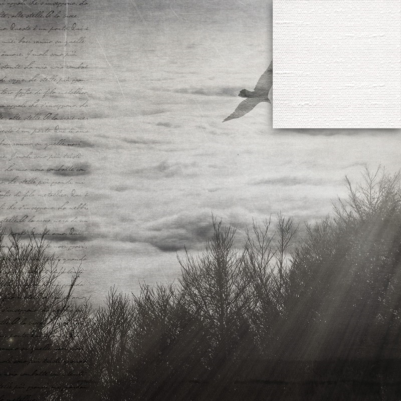 WP02008A Обои декоративные Adriani e Rossi  - Вид №2