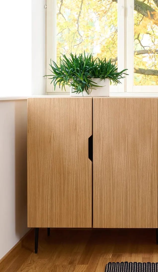 Шкаф из шпона с распашными дверями Radis Noble ARCH-00141510 - Вид №3