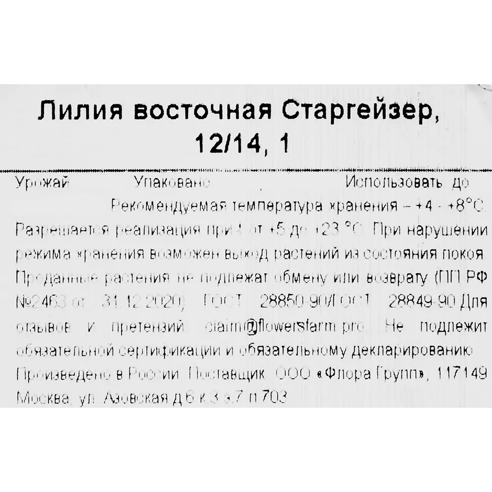 Лилия восточная Старгейзер h30 см 86735715 STLM-2109556 Santreyd  - Вид №2