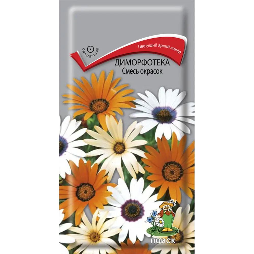 ПОИСК Бальзамин Бикон кампари - яркий цветущий ковер 89401221 STLM-1576519