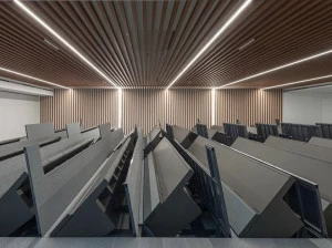 LAMM Автомат исчезновения сиденья