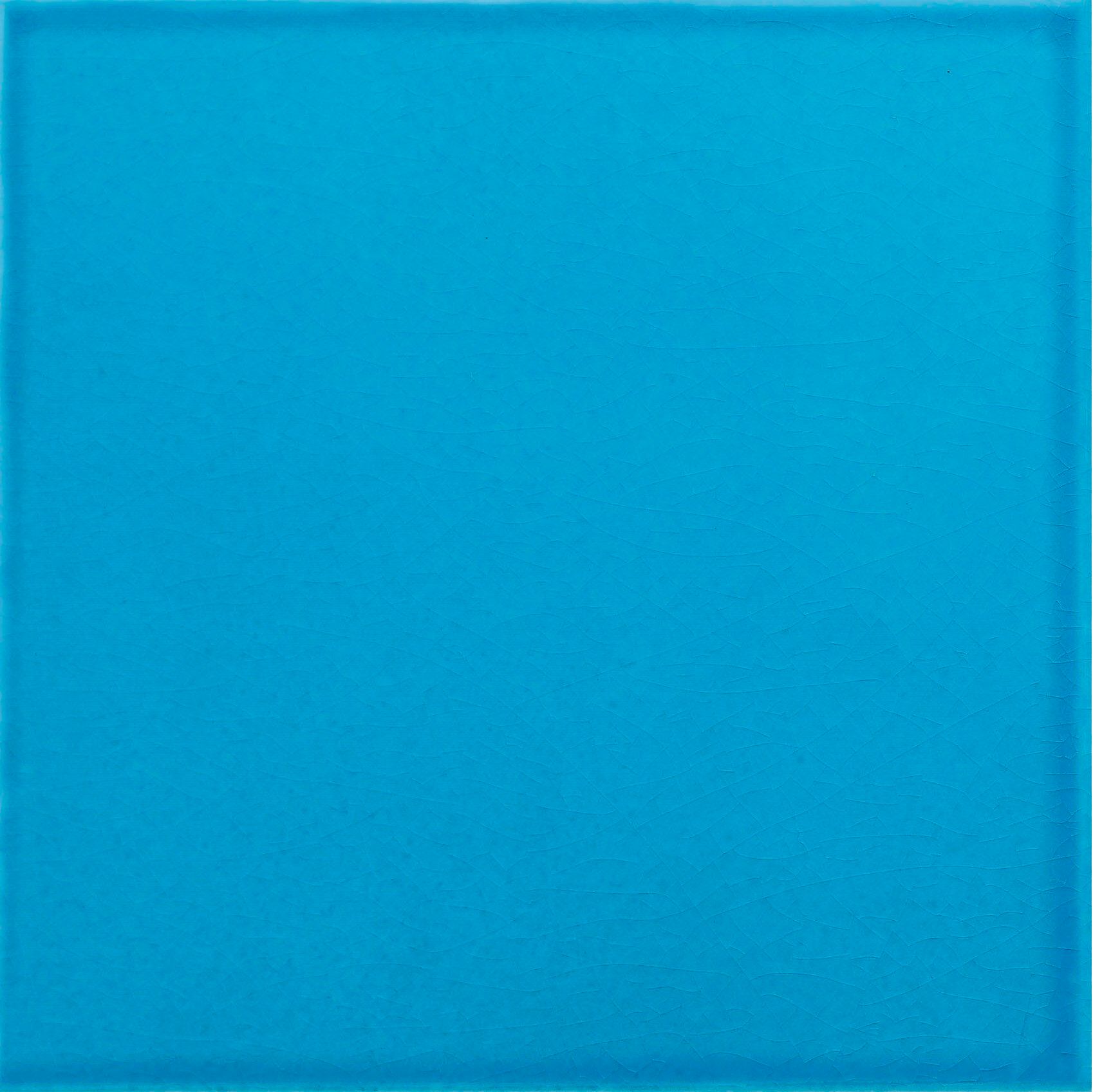 Пол / покрытие ручной работы La Riggiola одноцветный ARCH-00082525 - Вид №10