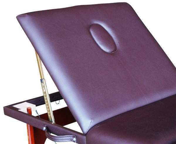 TS3022_B1 Коричневый массажный стол NIRVANA RELAX PRO DFC  - Вид №3