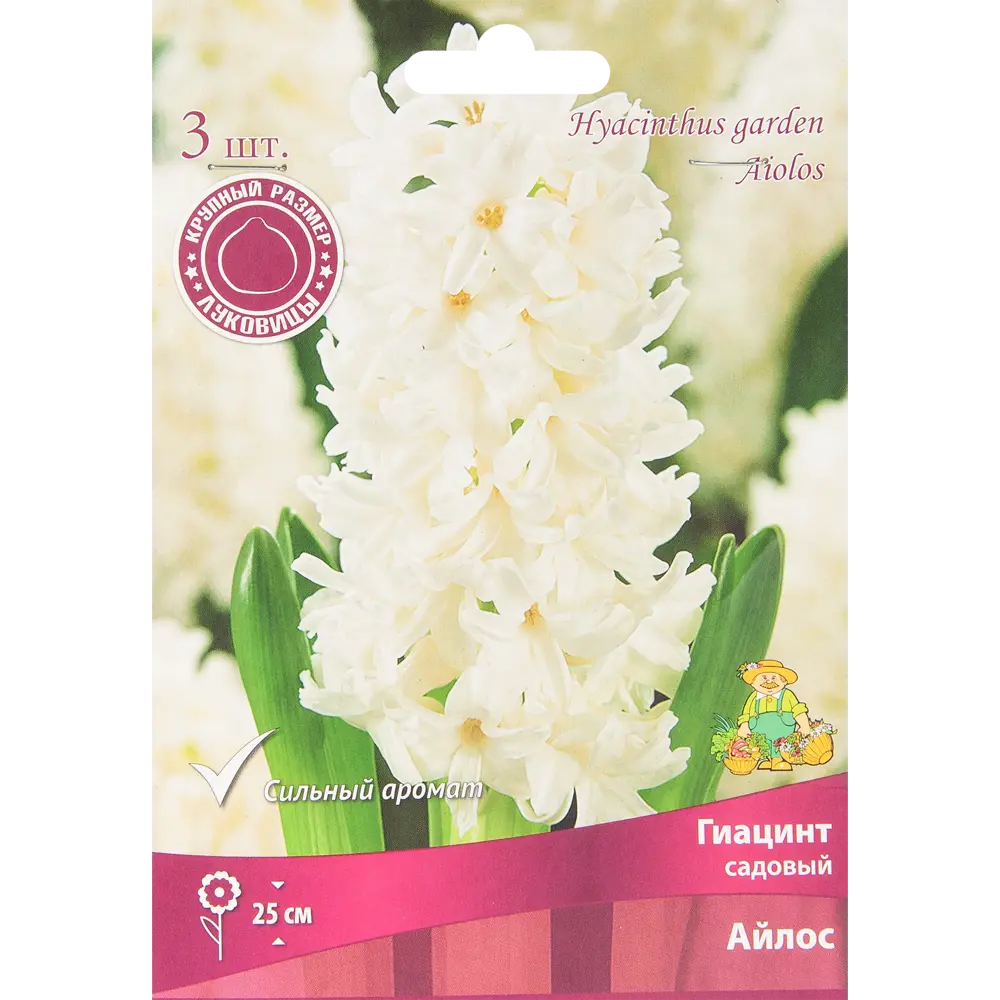 Гиацинт Айлос ПОИСК - белоснежные луковицы для сада, 3 шт 85204906 STLM-1564943