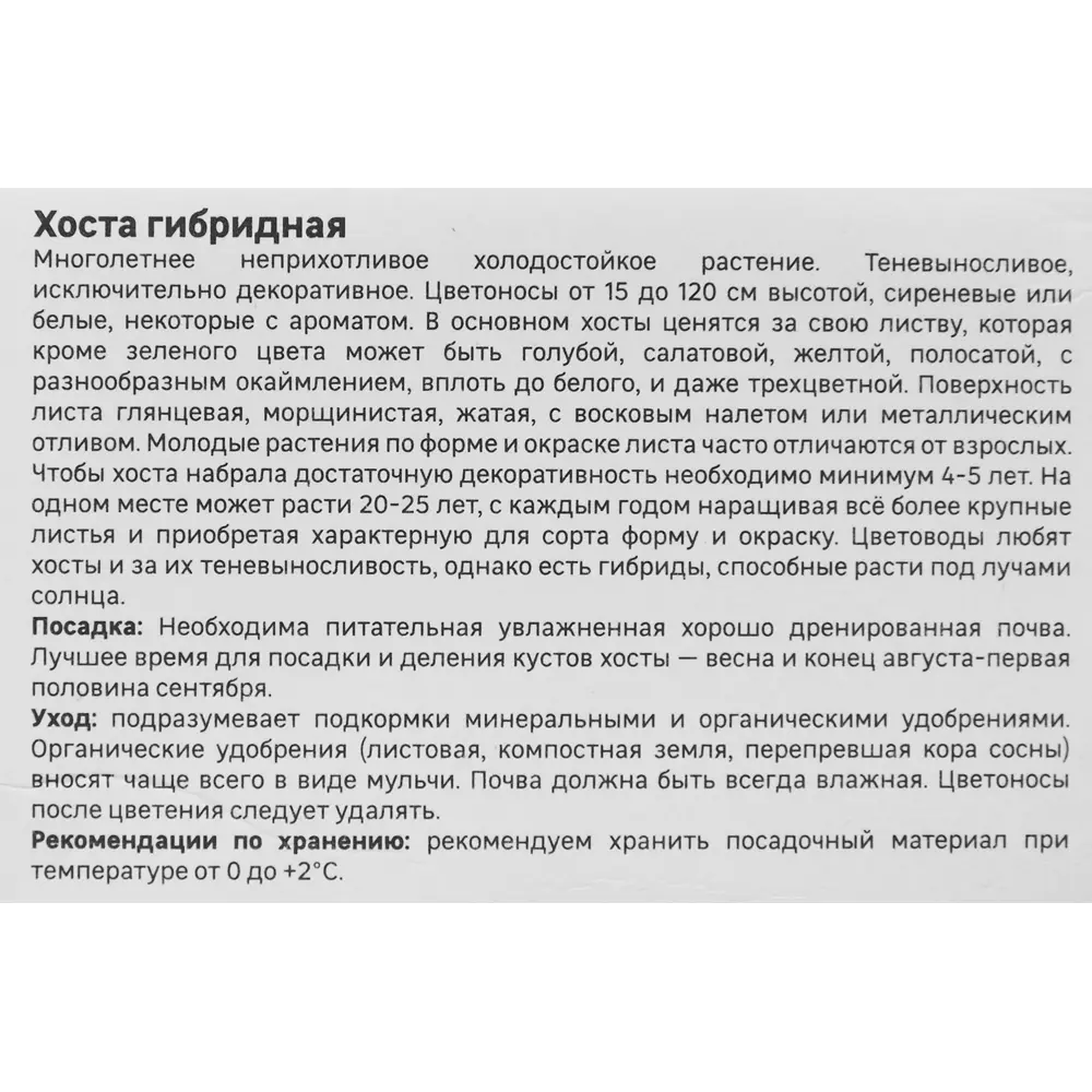 Хоста гибридная Мохито 86408589 STLM-2132219 Santreyd  - Вид №3