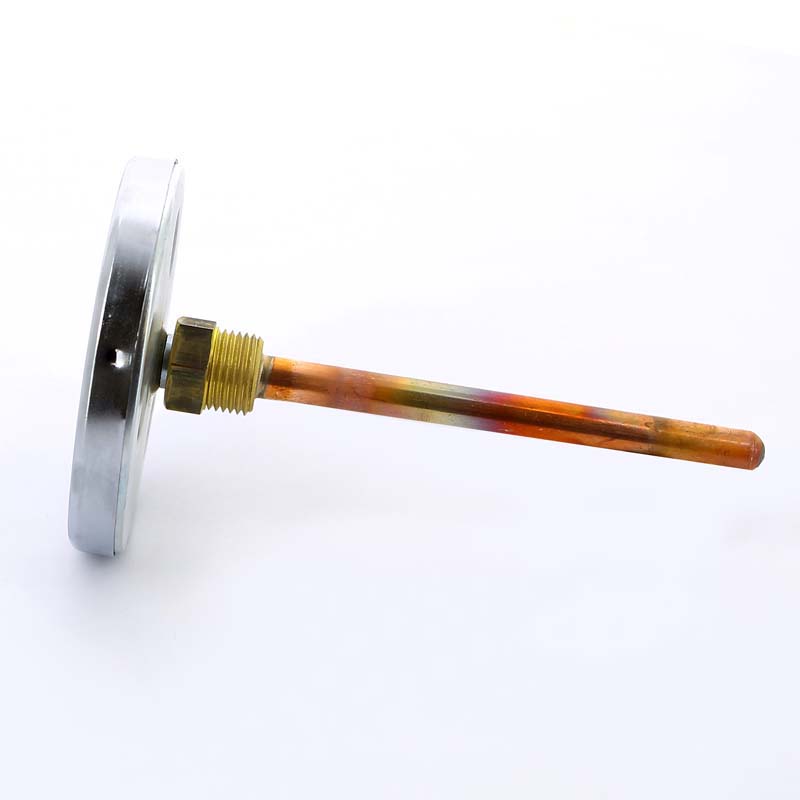 Термометр биметаллический F+R801 100мм с погружной гильзой WATTS Ind 120 град.C гильза 150мм 10006084 - Вид №1