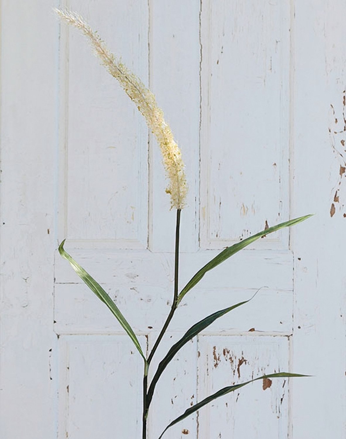 6813 788 a3 Трость искусственная, 160 см, бежево-зеленая H-andreas 