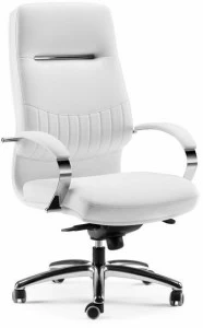 Arte & D Кресло исполнительное на 5 спиц с высокой спинкой Selecta C3020 og / cc3020 og