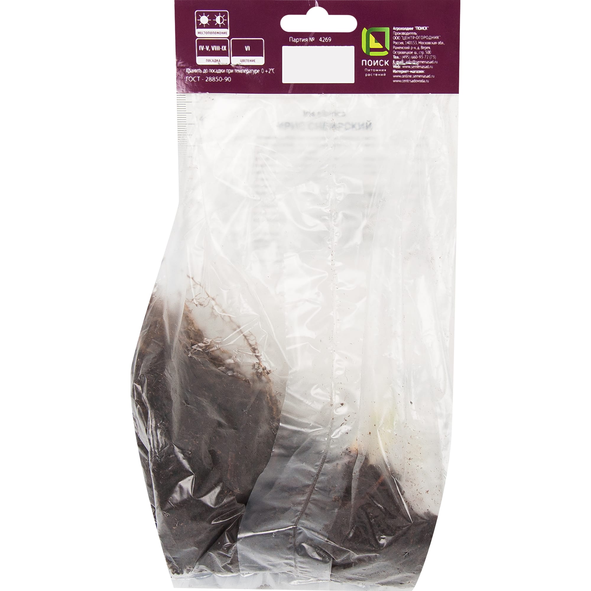 82319548 Ирис сибирский «Ай си Старз», размер луковицы I Santreyd  - Вид №1