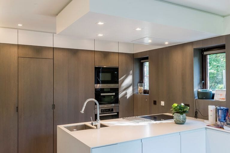 Дверная петля ARLU ARGENTA PIVOTICA ARCH-00049043 - Вид №2