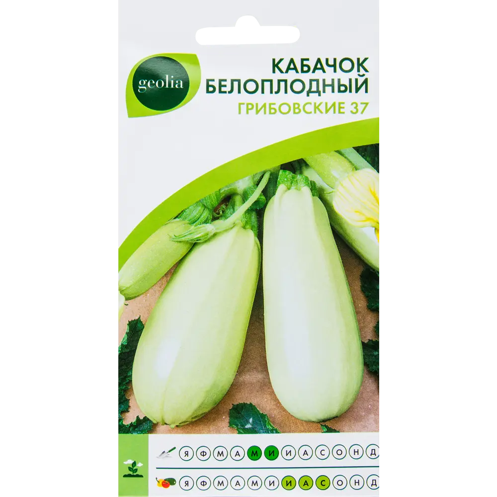 Семена кабачка белоплодного Geolia Грибовские 37 - ранний урожайный сорт 17584701 STLM-0964826