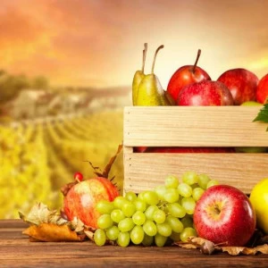 WP00567 Фотообои Verol Фотообои decoline 1х1 м