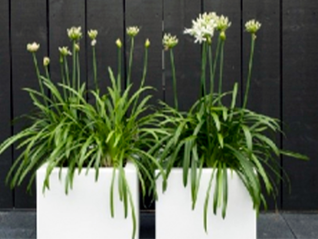 Кашпо коллекции "Ардена" АD-01-45 100/100/40 ГеоПластБорд GPBST-86 - Вид №8