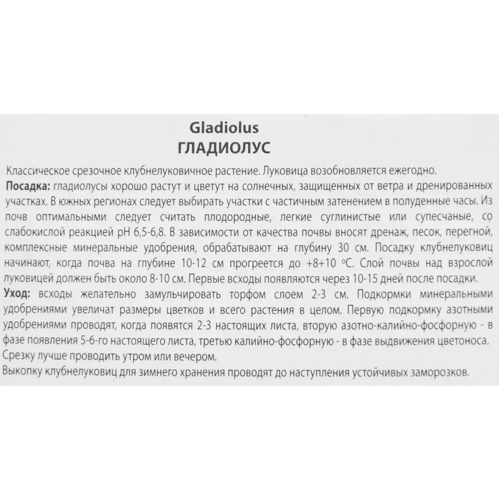 Гладиолус крупноцветковый Дон Луиджи, 3 шт 86410030 STLM-2123527 ПОИСК  - Вид №2