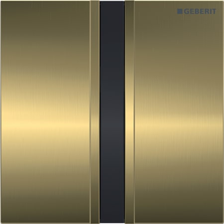 241.926.QB.1 Защитная крышка Geberit тип 50 Geberit  - Вид №6