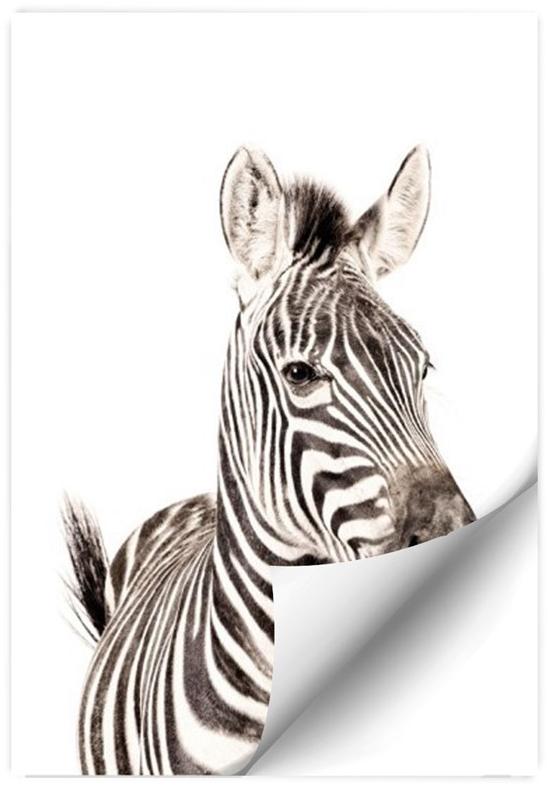 Groovy Magnets Клейкое виниловое украшение  St-92x60-z  - Вид №1