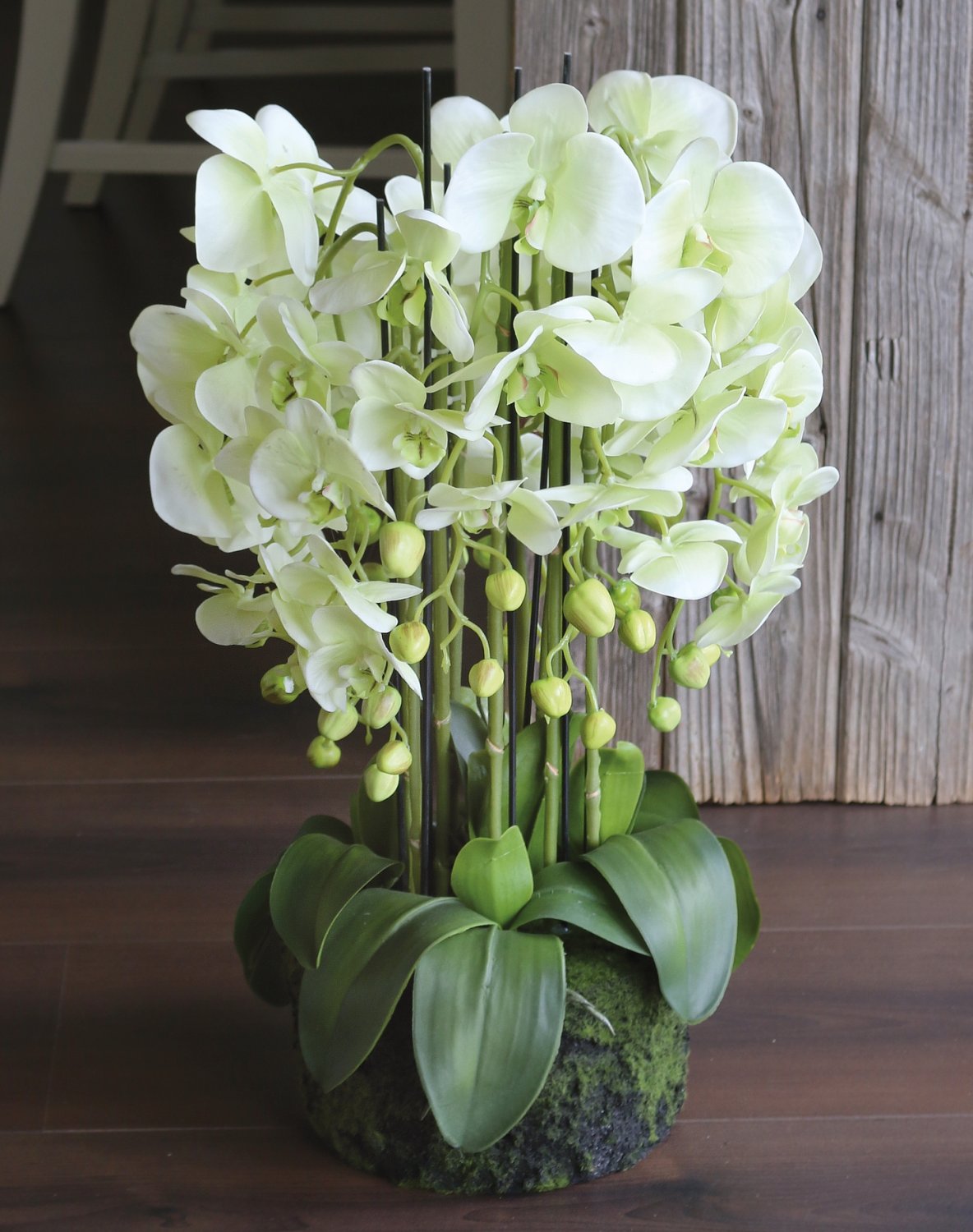 2861 788 a3 Пластиковая орхидея Phalaenopsis с 'почвой', 9-кратная, 70 см, real touch, бежево-зеленая H-andreas  - Вид №3