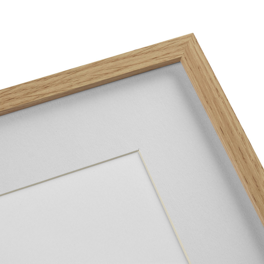 Картина в раме 32х42 см Botany illustration №12, 1836г. КАРТИНЫ В КВАРТИРУ  264509 Красный;серый;разноцветный  - Вид №2