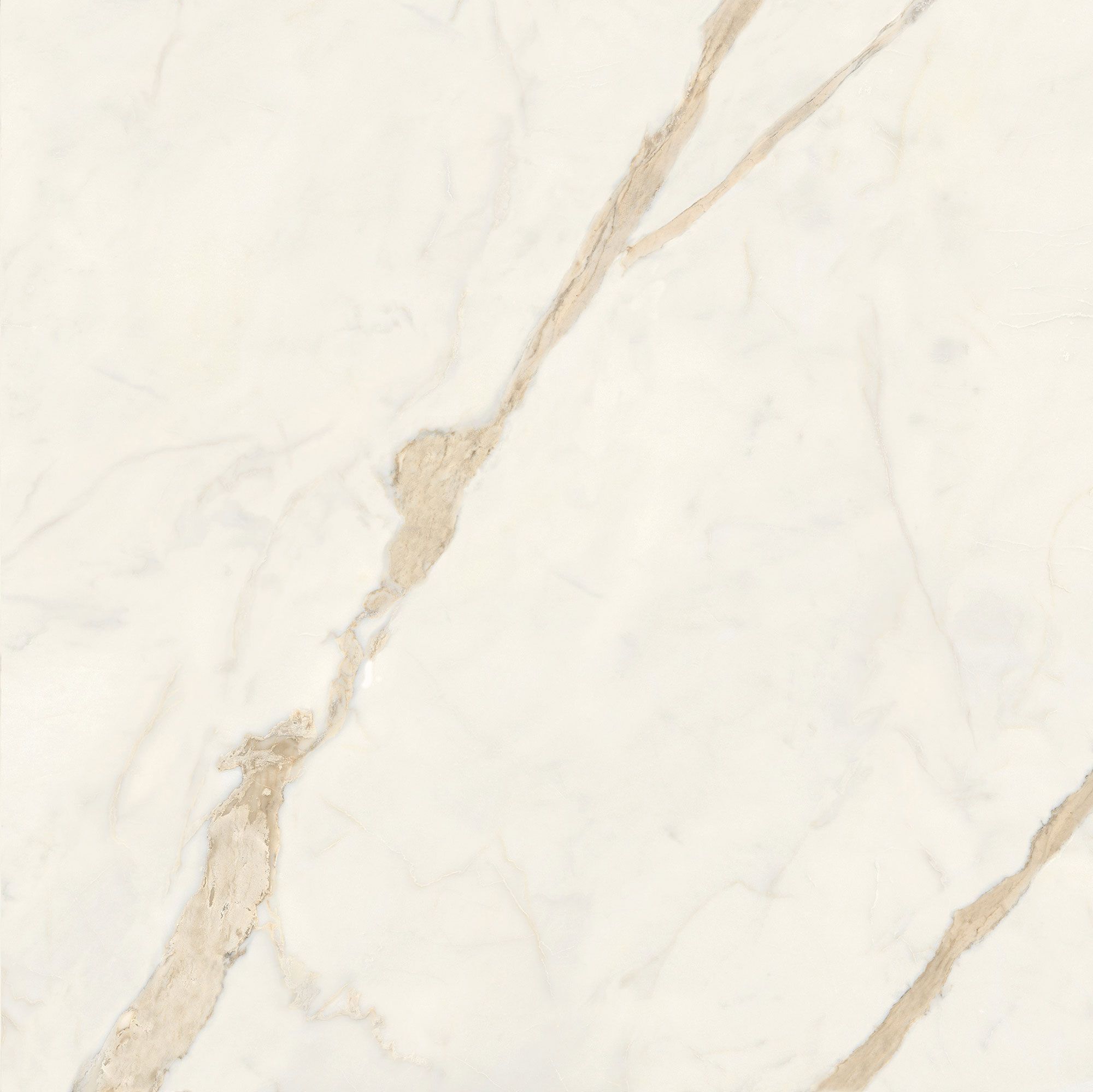 Пол / керамогранит с мраморным эффектом Italgraniti Marble Touch ARCH-00062183 - Вид №25